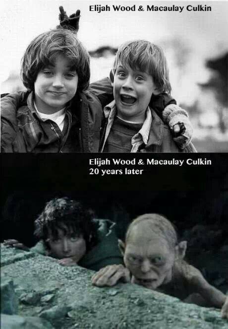 Ornithorhynchus anatinus duck-billed platypus duckbill duckbilled platypus platypus