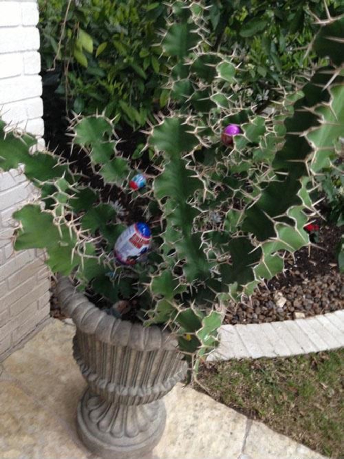 flowerpot pot