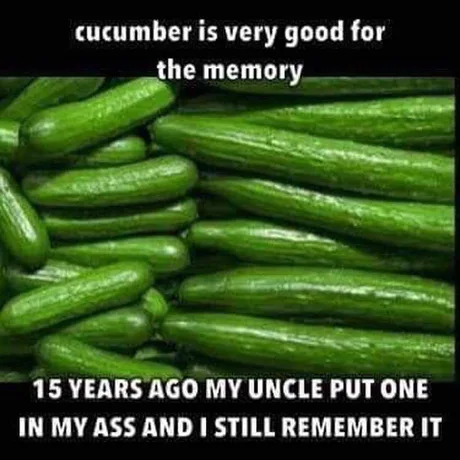 courgette cucumber cuke zucchini