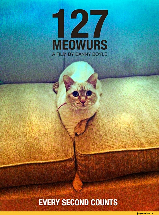 Image sans description