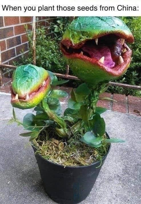 flowerpot pot