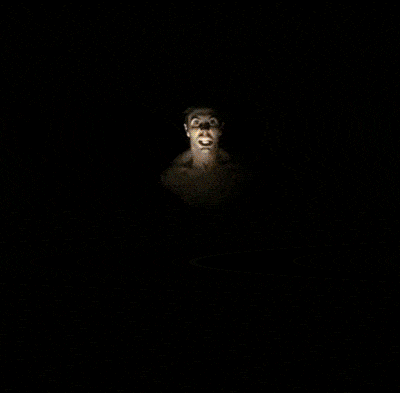 Image sans description