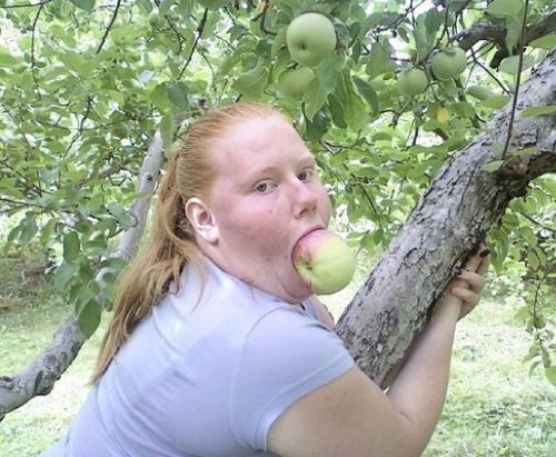 Granny Smith