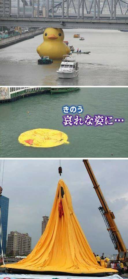 Image sans description